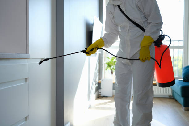 Best Mold Remediation Services  in Emerson, NJ